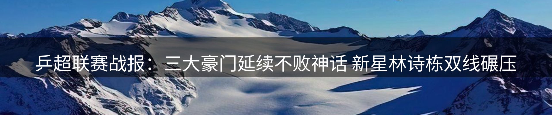 新闻动态