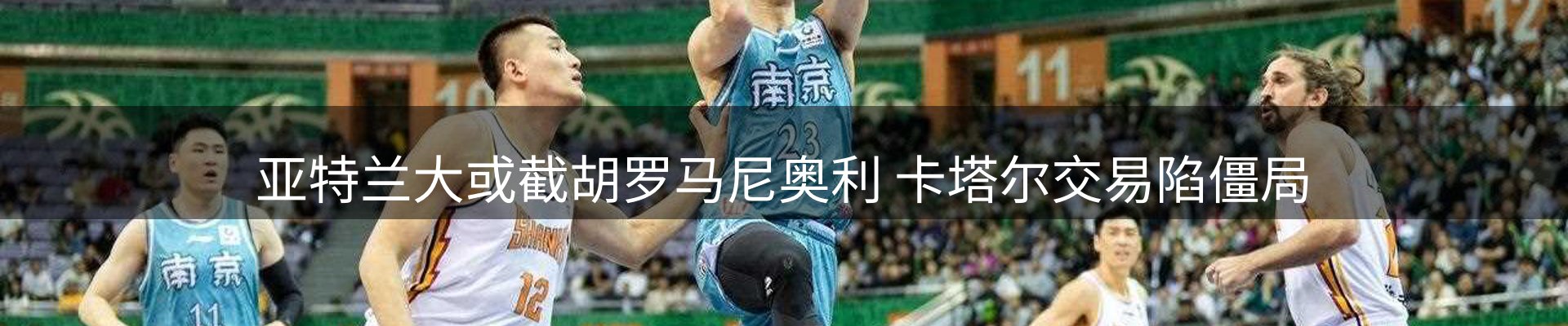 新闻动态