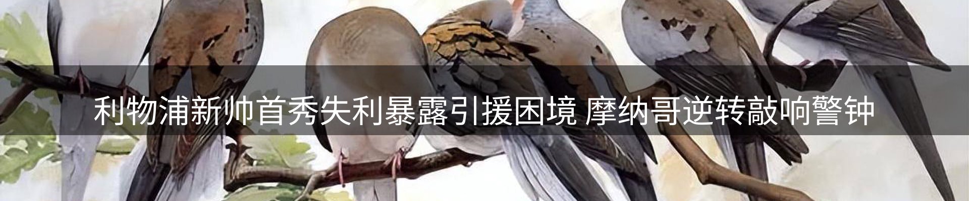 热点焦点