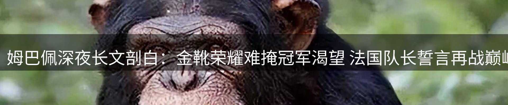 新闻动态