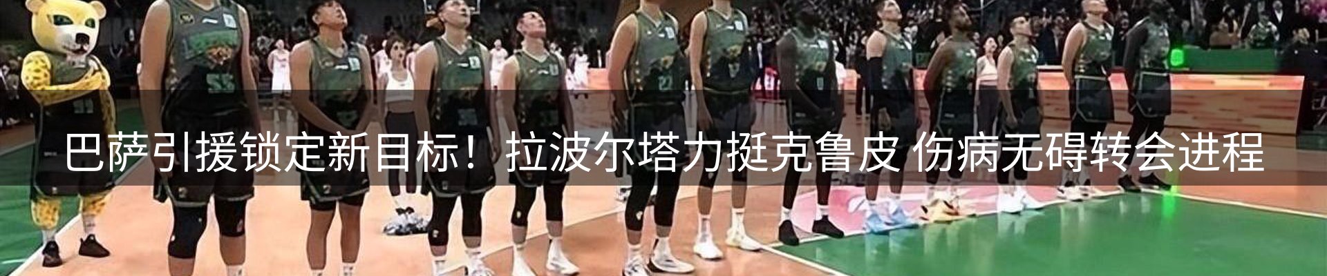 新闻动态