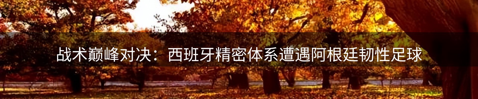 新闻动态