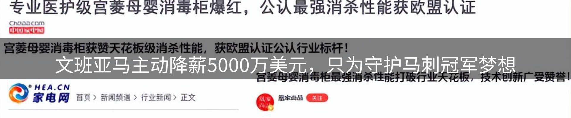 新闻动态