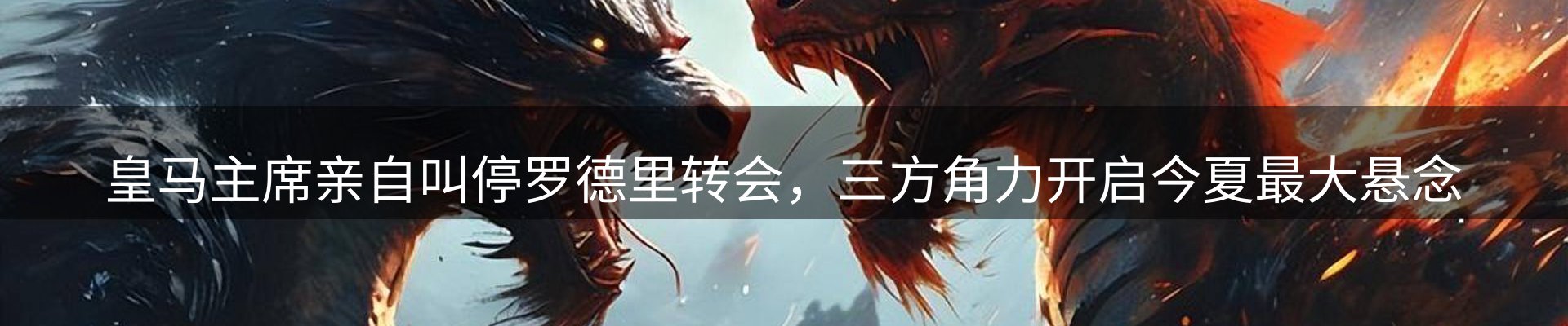 新闻动态