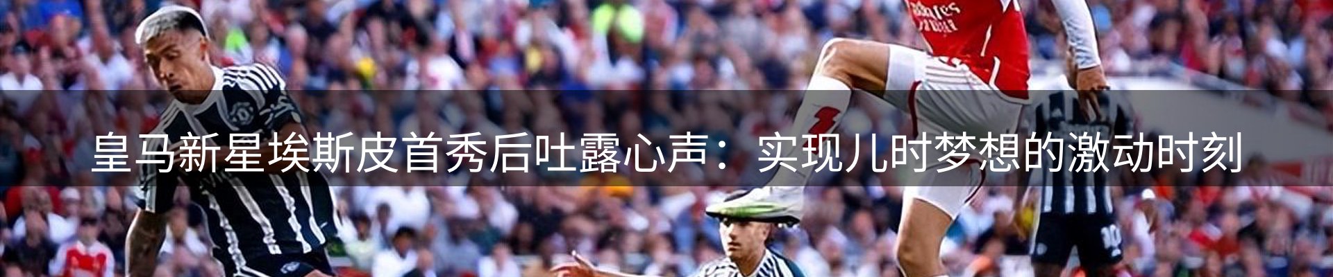 新闻动态