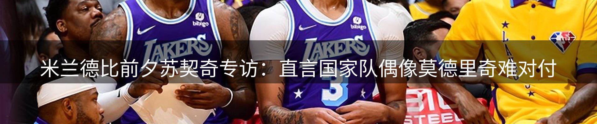 新闻动态