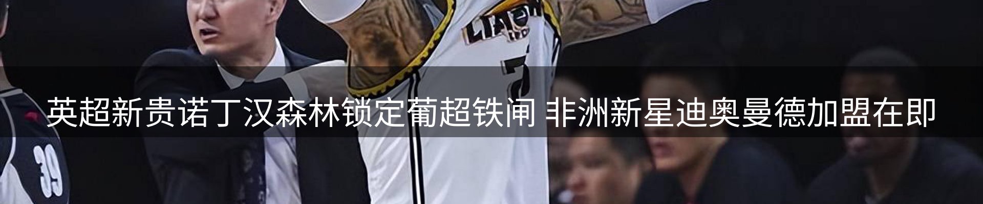 新闻动态