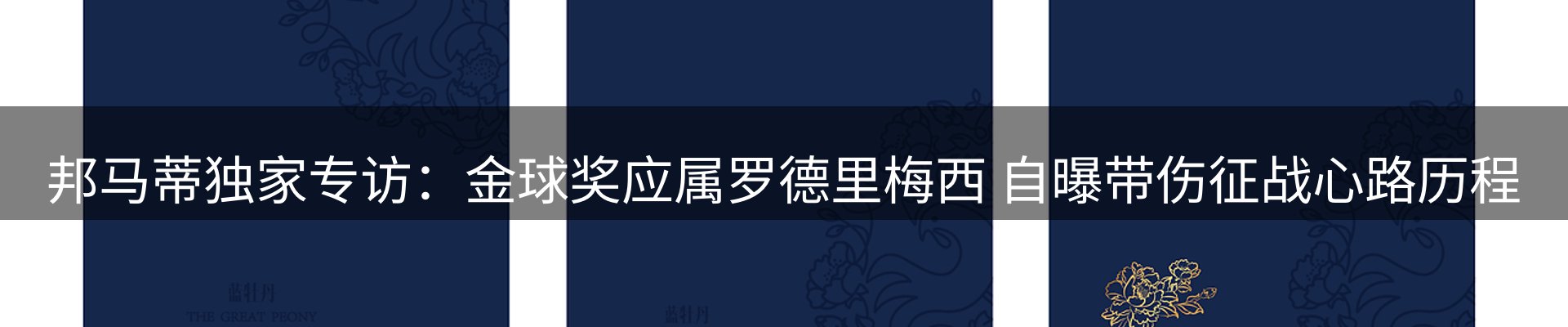 新闻动态