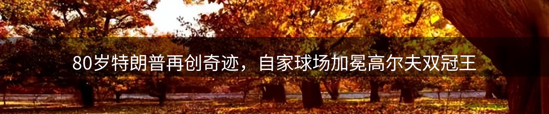新闻动态