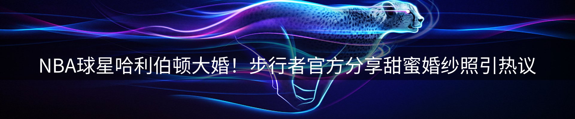 热点焦点